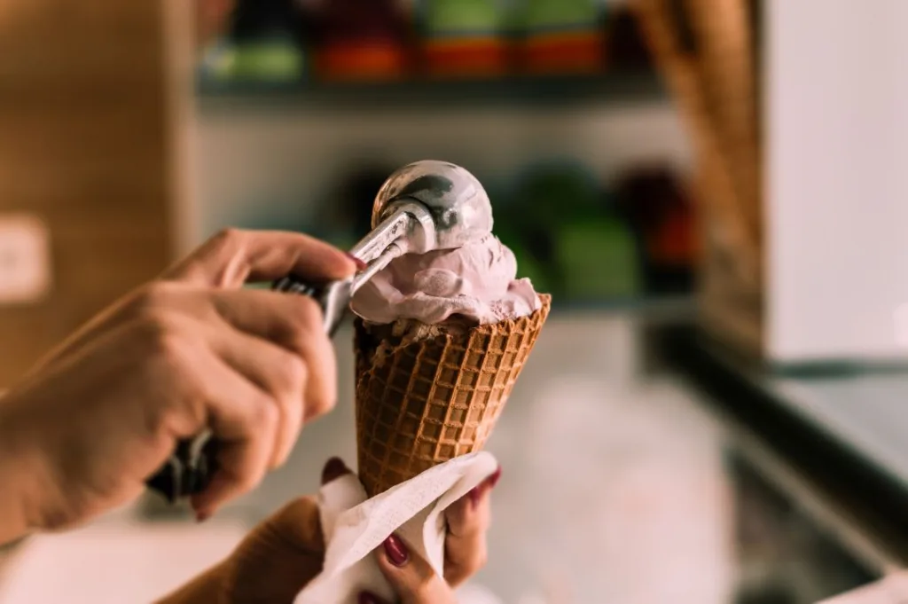 How to Sell a Bruster’s Real Ice Cream Franchise Restaurant 9 Sell a Bruster’s Real Ice Cream Franchise