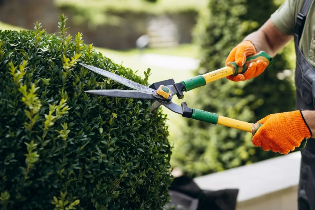 How to Sell a Landscaping Business 5 Sell a Landscaping Business